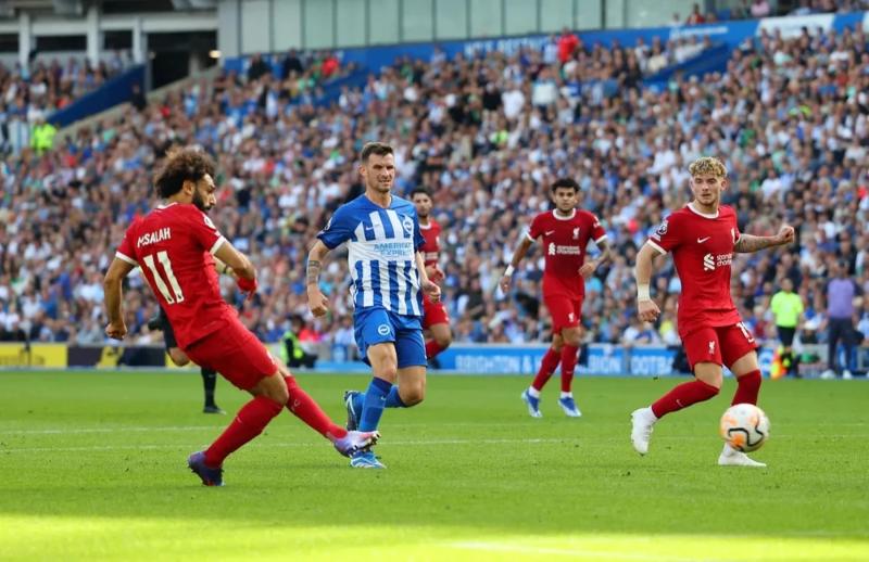 Trận chiến cam go giữa Liverpool đấu với Brighton: Ai sẽ giành chiến thắng?