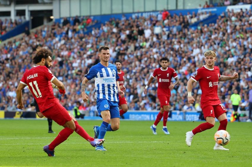 Phong độ gần đây của Liverpool đấu với Brighton